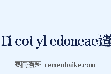 Dicotyledoneae造句是什么意思的图片